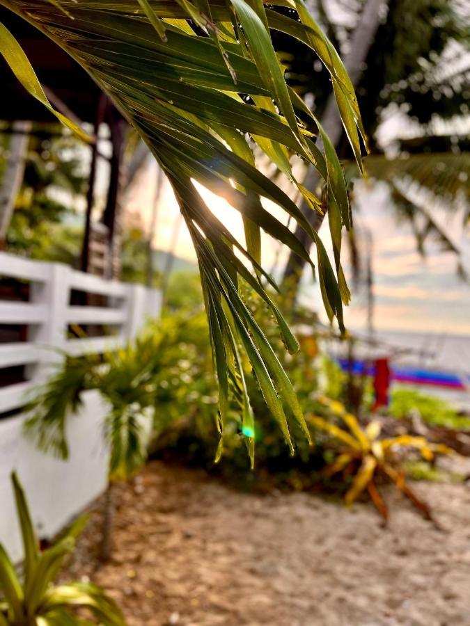 Amami Beachfront Villa With Private Beach プエルト・ガレラ エクステリア 写真