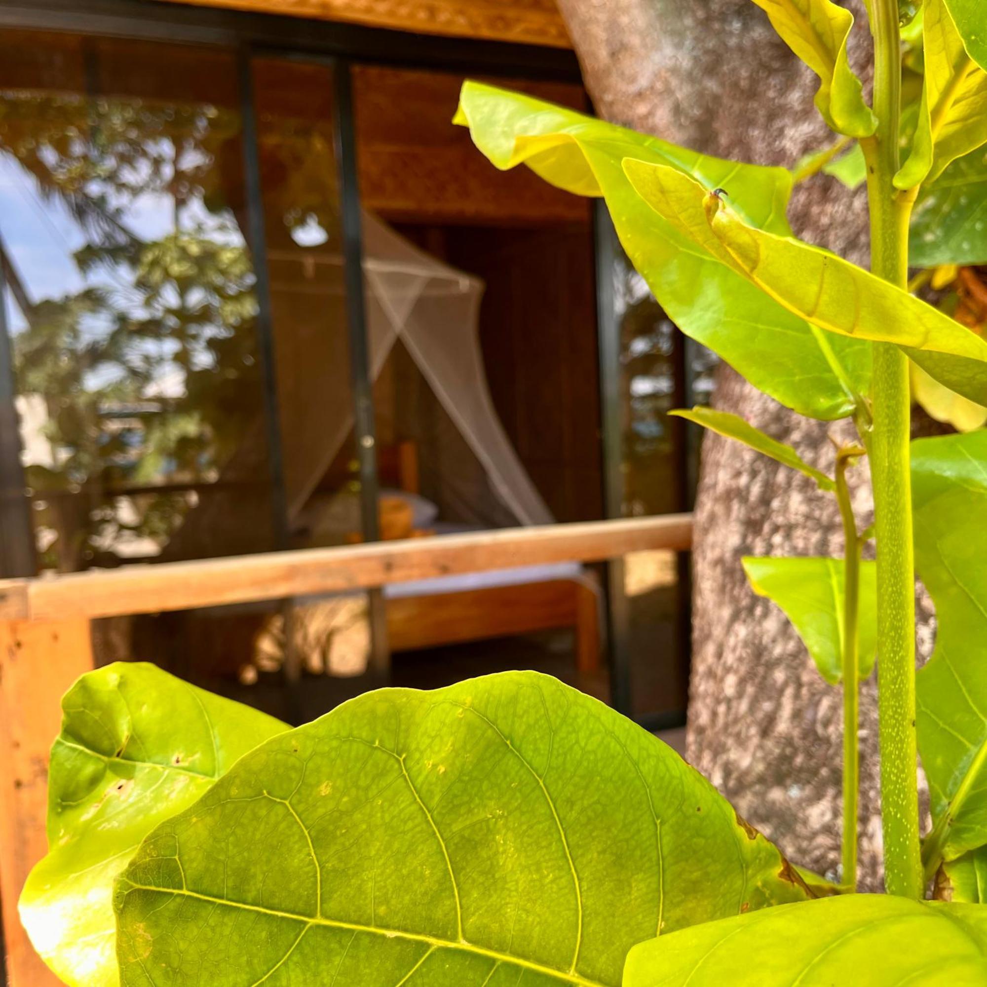 Amami Beachfront Villa With Private Beach プエルト・ガレラ エクステリア 写真