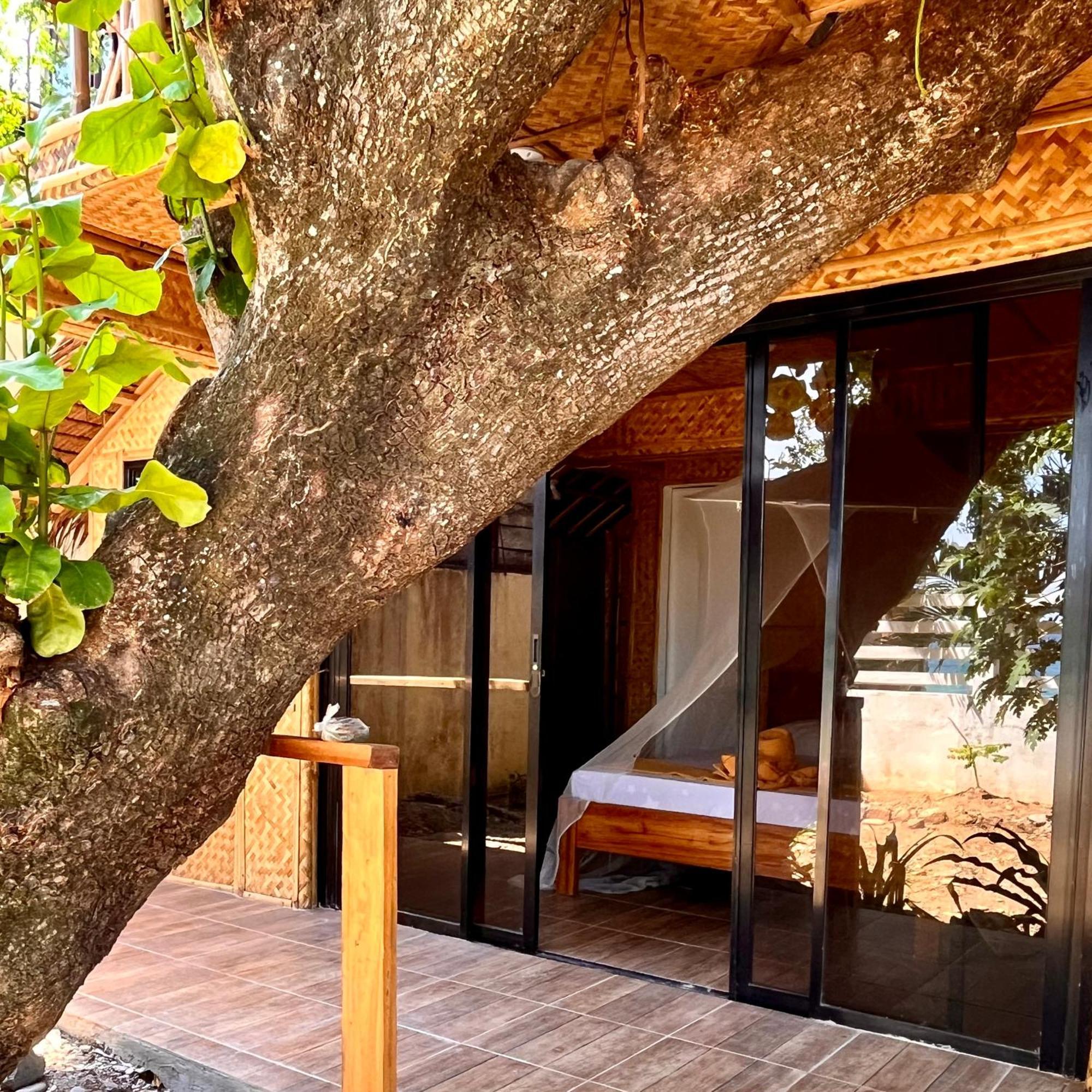 Amami Beachfront Villa With Private Beach プエルト・ガレラ エクステリア 写真